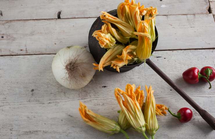 fiori zucca benefici controindicazioni