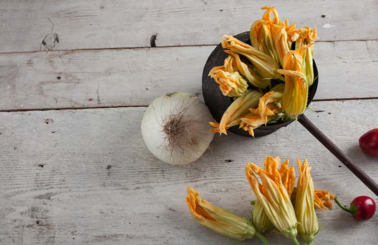 Fiori di zucca