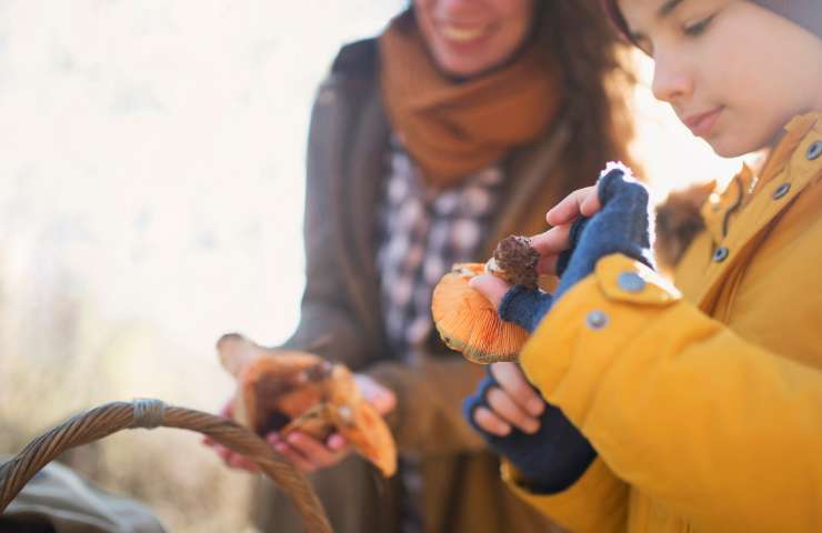 Foraging
