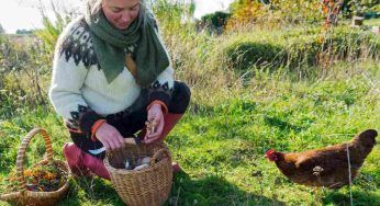 Foraging, ne hai mai sentito parlare? Ti spieghiamo cos’è