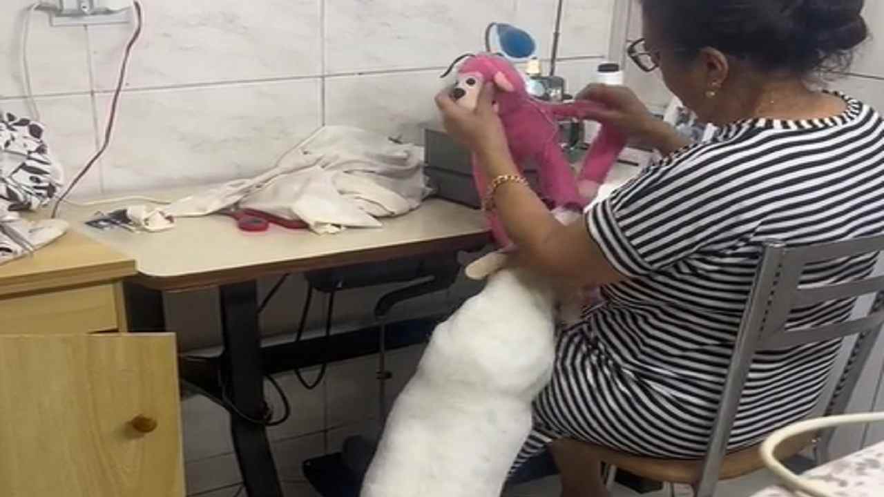 Cane scimmietta peluche video