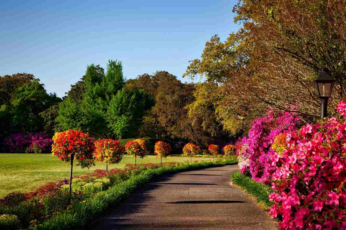 Giardini: i più belli al mondo