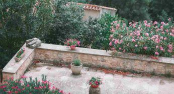 Rendi il tuo giardino perfetto: con l’arte del riciclo crea gli oggetti che desideri