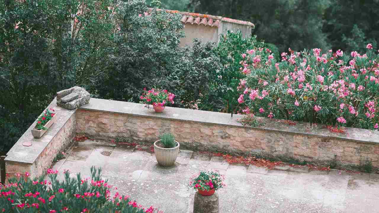 Giardino: idee di riciclo