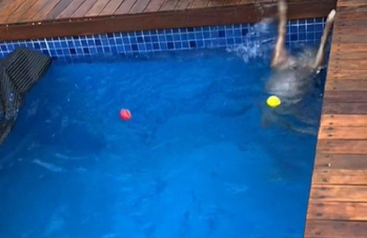 Golden Retriever verticale piscina video