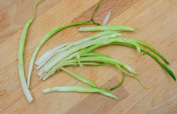 raccolto puntarelle