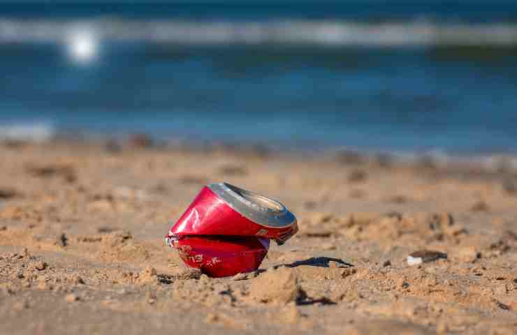 Lattina in spiaggia