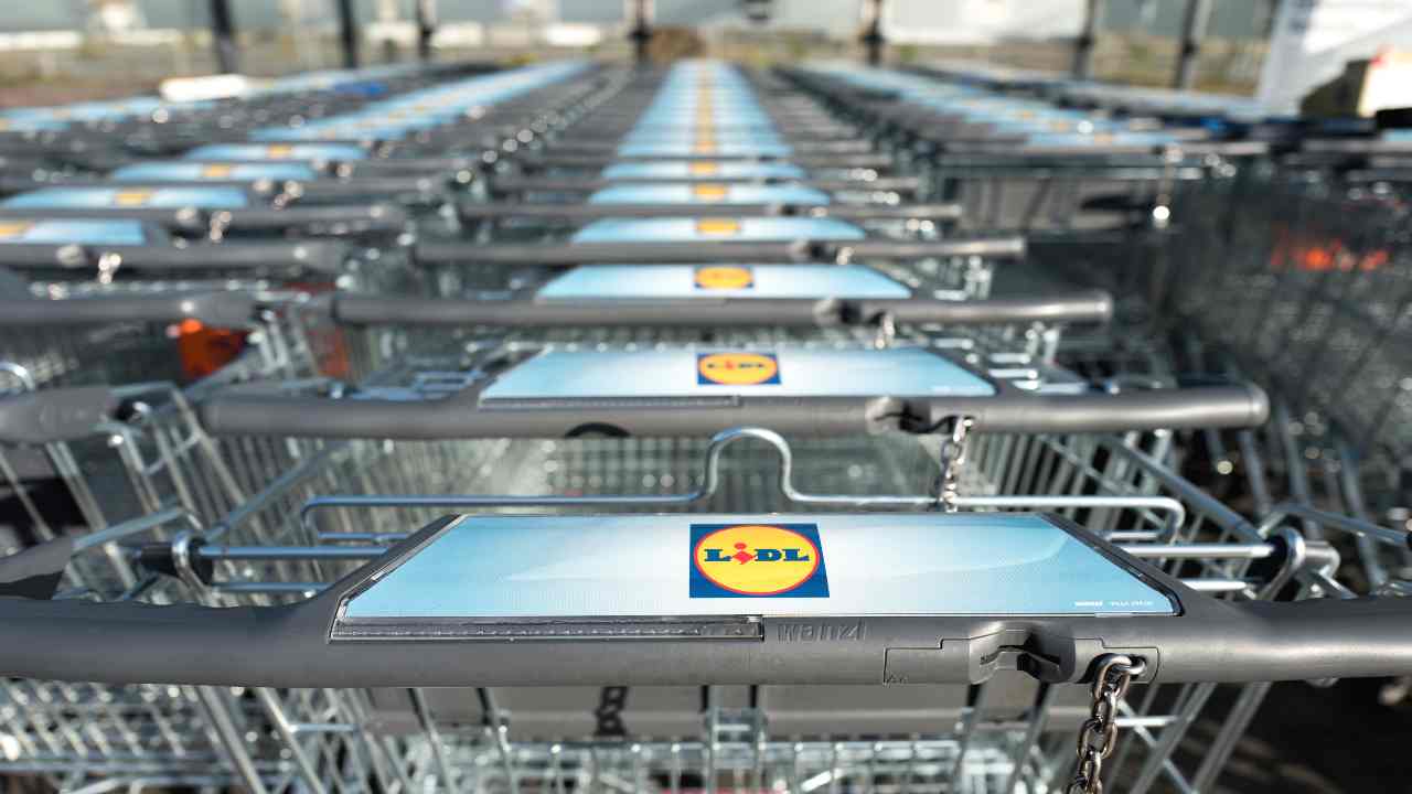 Lidl offerte giardinaggio attrezzi