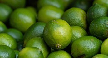 Lime prodotti in Brasile: arrivano in Europa e sono pieni di pesticidi