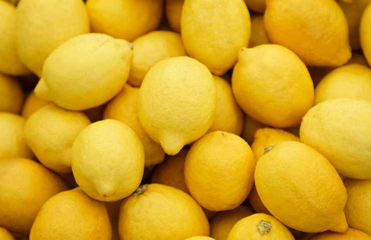 Limoni e parassiti