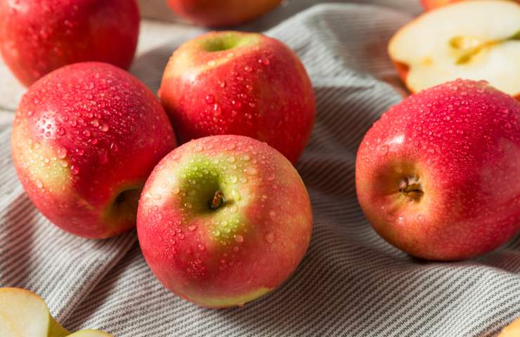 aceto di mele come prepararlo in casa