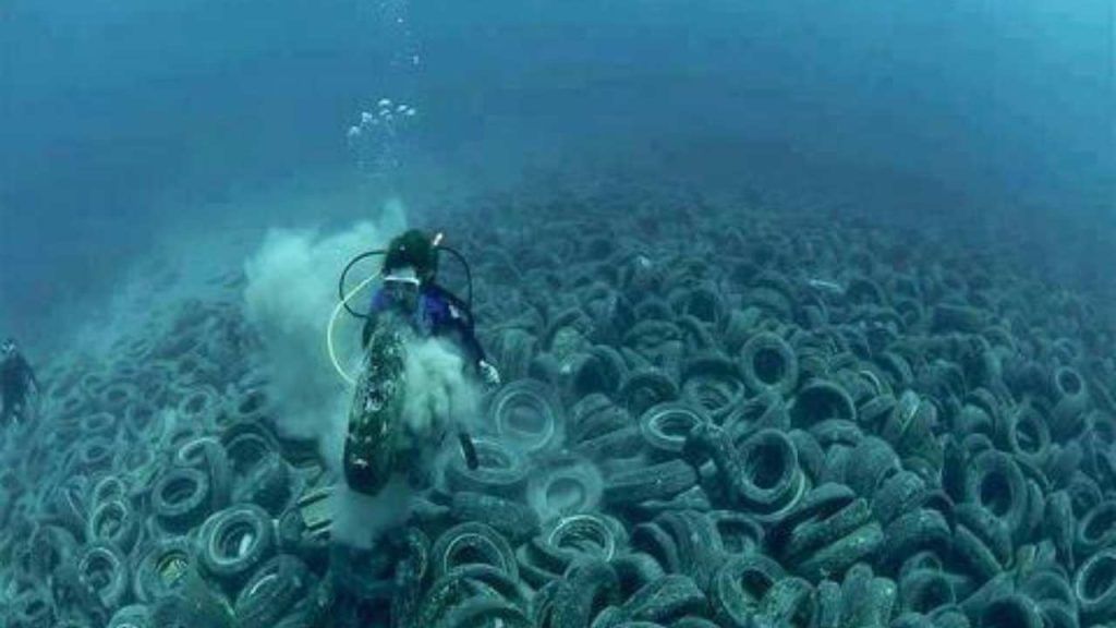 Osborne Reef: un disastro immenso