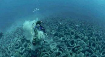 2 milioni di pneumatici fatti affondare nell’oceano: l’assurda motivazione