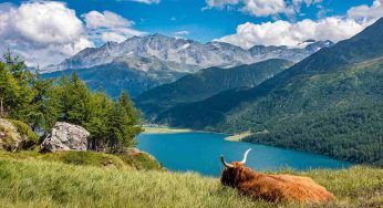 Svizzera, Lago di Saoseo: una rara bellezza da non perdere