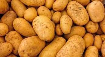 Patate, le curiosità che forse non conosci e che dovresti sapere