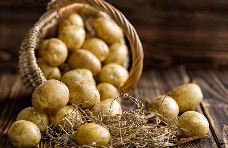 Patate storie alimento coltivazione 