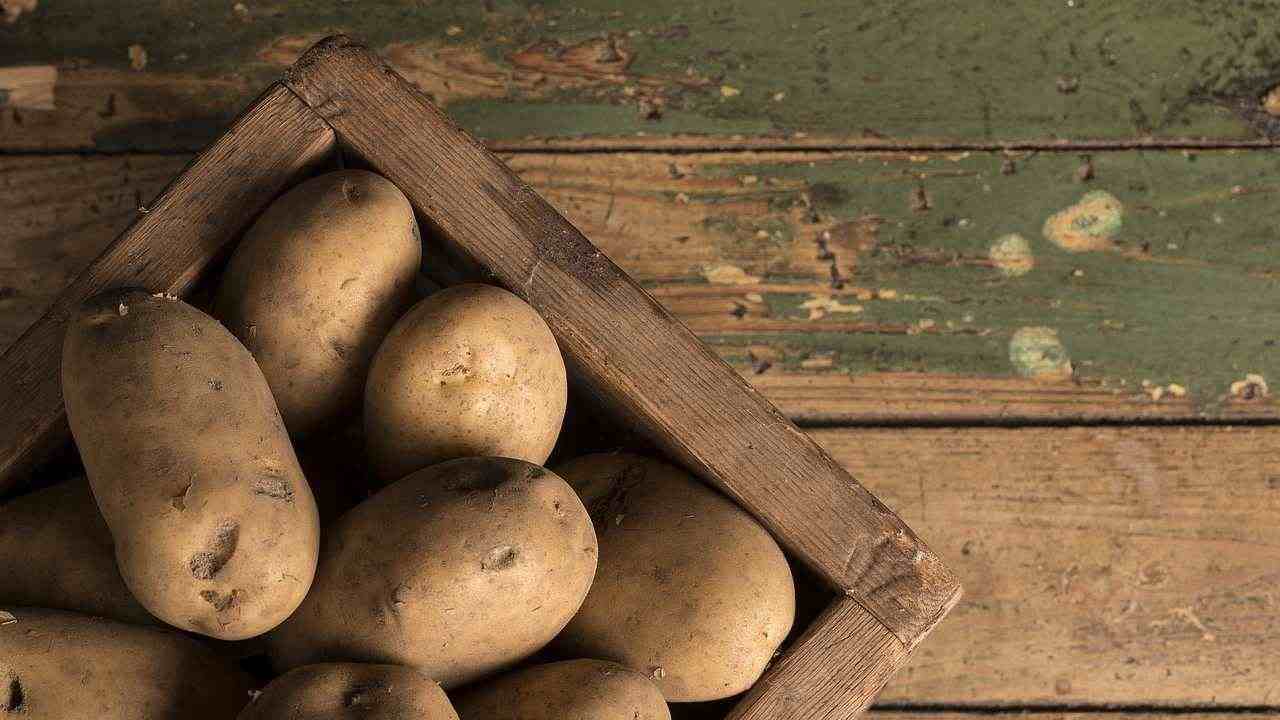 Patate mantenimento senza germogli