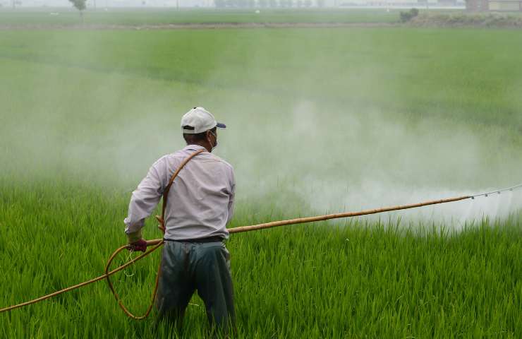 Rischi dei pesticidi
