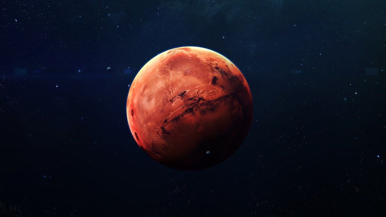 Marte forme di vita