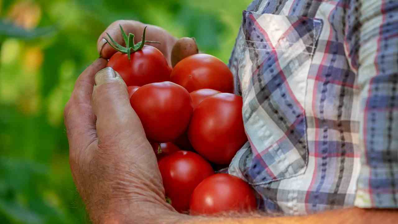 Pomodoro