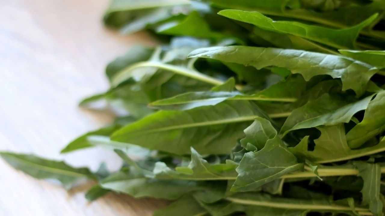 Puntarelle cucinarle modi preparazione