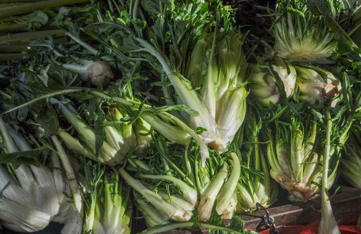 Puntarelle cucinarle modi preparazione