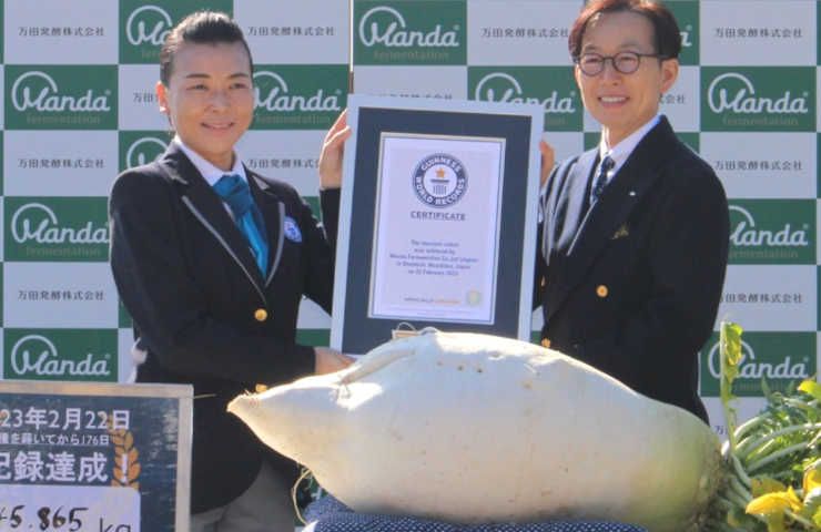 Daikon gigante record ravanello azienda Giappone