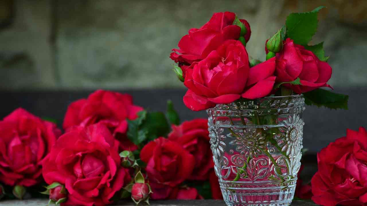 Rose rosse