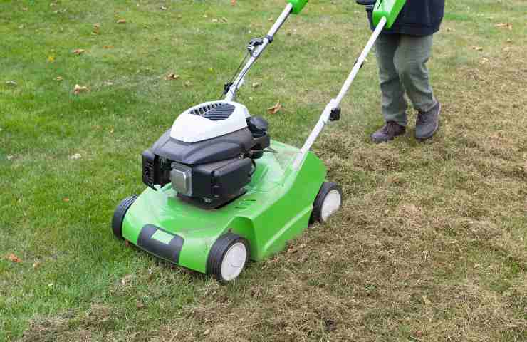 Scarificazione prato giardino come farla