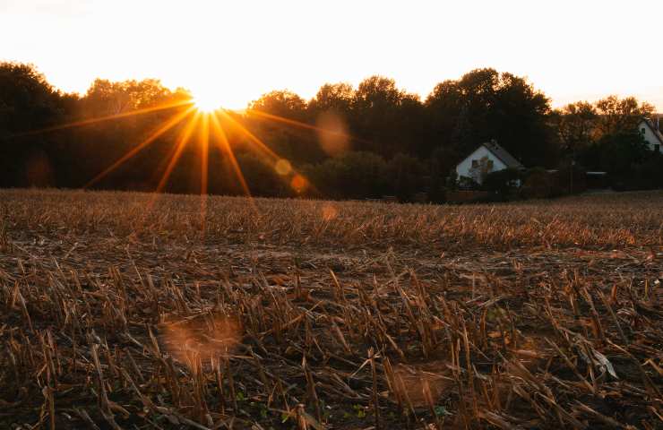 Sole al tramonto: la realtà dietro questo fenomeno