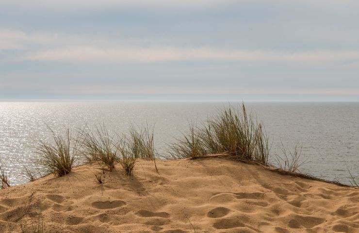 spiaggia rifiuti dischi di plastica