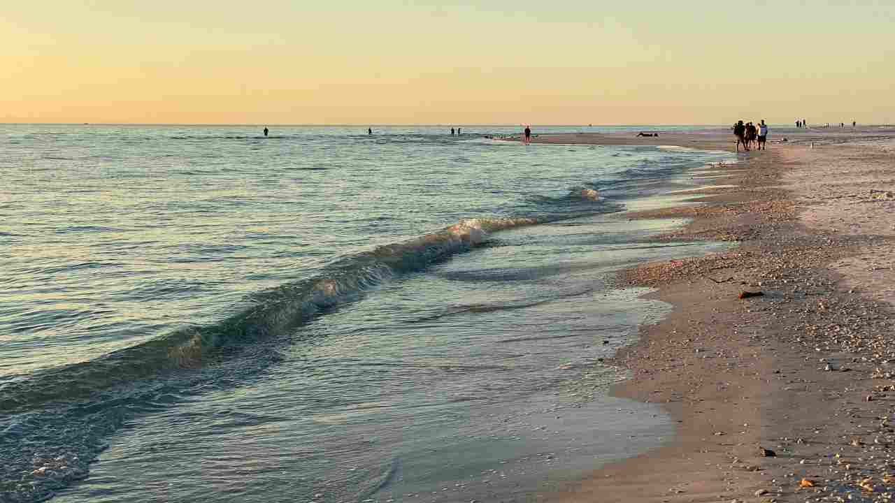 spiaggia rifiuti dischi di plastica