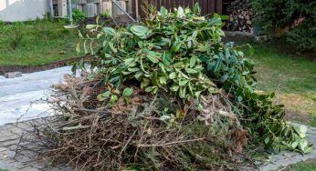 Nel tuo giardino puoi bruciare vecchi rami secchi? La legge in merito è chiara