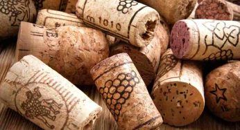 Trucco segreto piante: grattugia dei tappi di sughero e mettili in acqua bollente