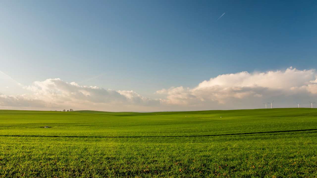 Terreni boschivi e agricoli come massimizzarne le rendite