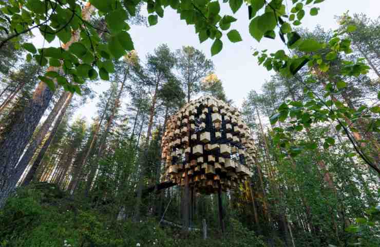 Treehotel Lapponia svedese stanza circondata casette uccelli