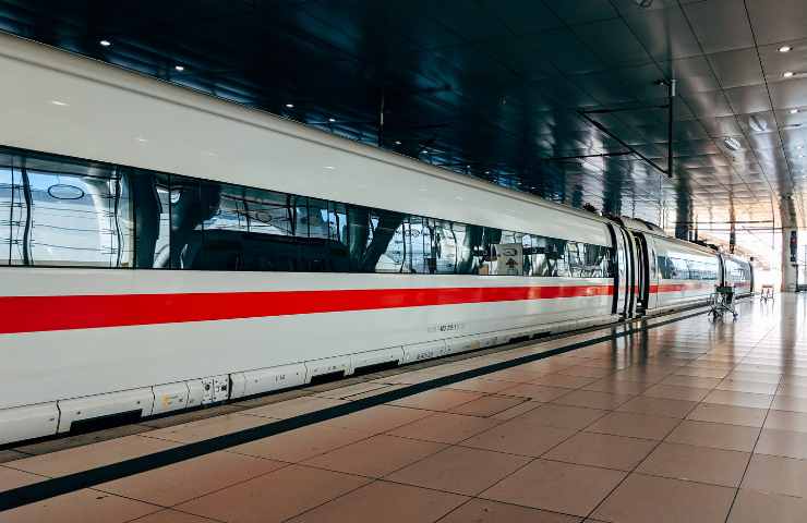 Pasqua viaggio animali regole treni auto