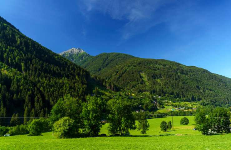 Valle Camonica orsi