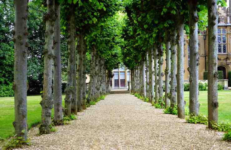 Percorso giardino come iniziare