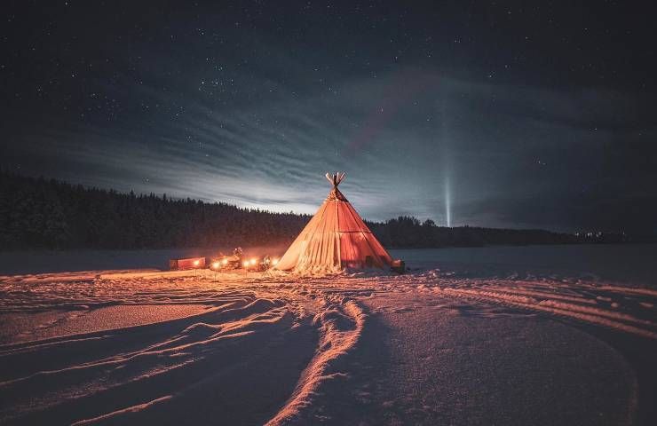 Treehotel Lapponia svedese stanza circondata casette uccelli