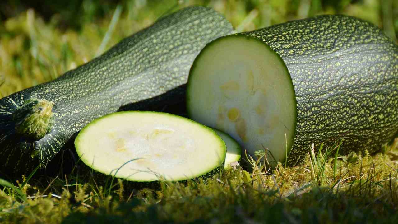 Zucchine amare