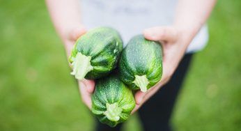 Aprile, semina questi ortaggi è il mese giusto!