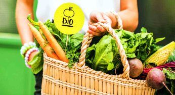 Colture biologiche, bandi per 14 milioni di euro: scadenza a maggio