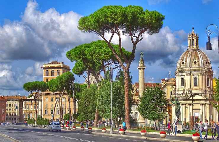 pnrr alberi centro 