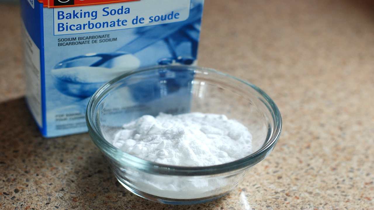 bicarbonato sodio ciotola 