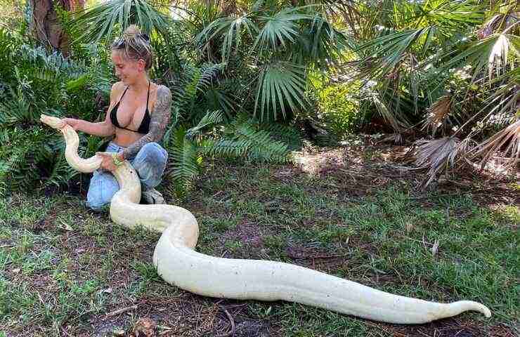 serpente bianco giardino