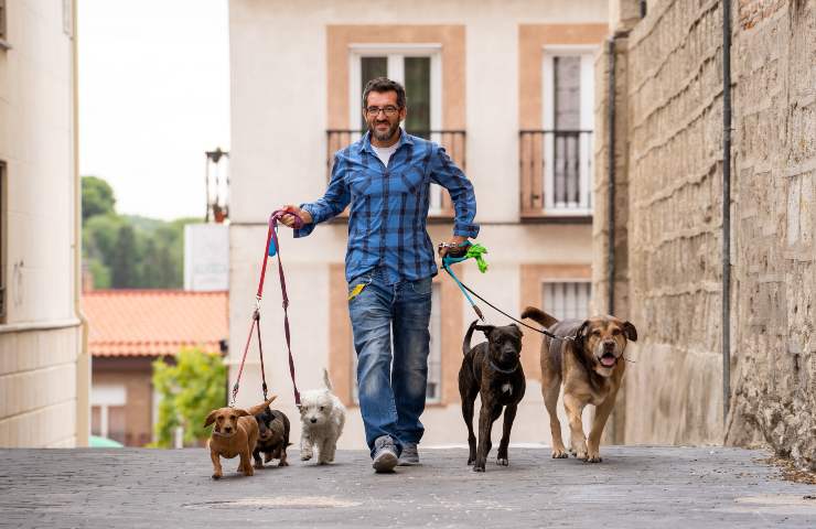 cane felicità come capire