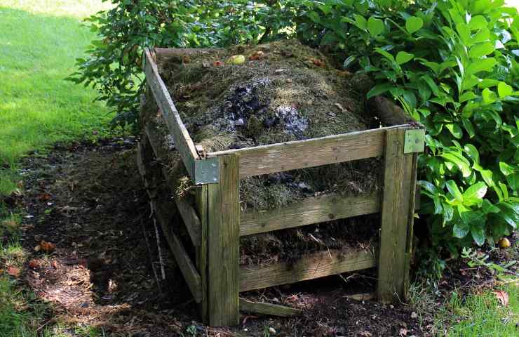 compostiera domestica compost 