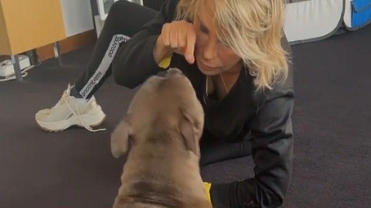 maria de filippi ed il cane saki video