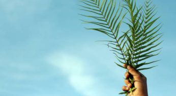Che tempo farà a Pasqua? La leggenda che cita la domenica delle Palme